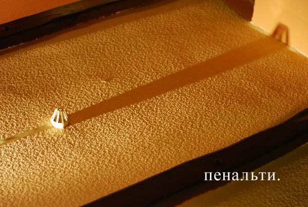 interv'ju-ol'ga-primachenko-gnezdo-nauchit'sja-pisat'-horosho-vdohnovit'-na-roman